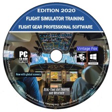 Nuovo Flight Simulator Pilot