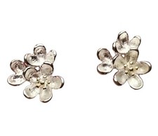 Orecchini In Argento Massiccio