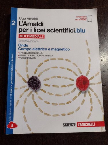 Amaldi per i licei - l',