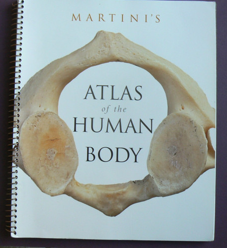 Martini atlas the human - of,