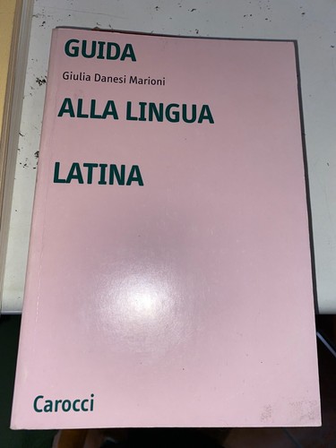 Marioni guida alla lingua - marioni,