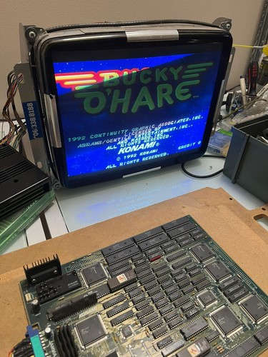Bucky hare jamma - -,
