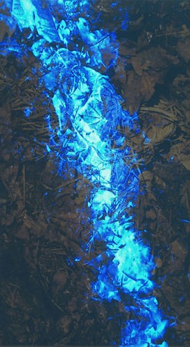 Luminol stessa roba che vendo