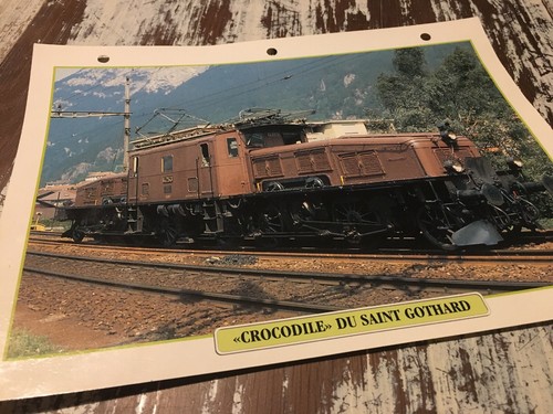 072 loco crocodile san - loco,