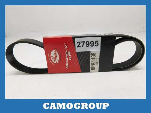 Cinghia servizi poly - cinghia,