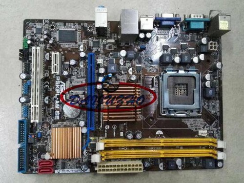 Asus p5kpl scheda - asus, se