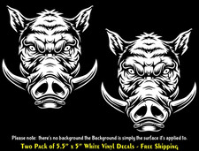 Wild Hog Pig Boar due