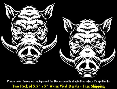 Wild hog pig boar due - pig,
