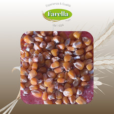 Mais Ibisco Uso Zootecnico