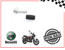 ECCENTRICO PUNTALINO CON GOMMA PER LEVA FRENO DX PER BENELLI BN 302 2015 - 2020
