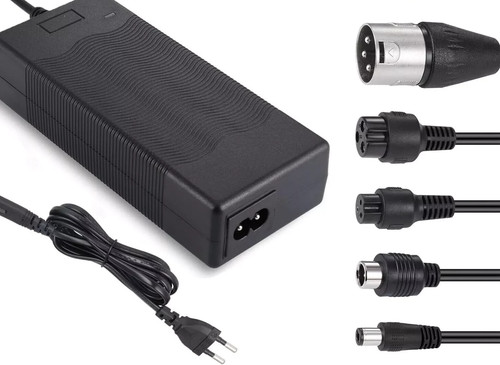 Carica batterie bicicletta - carica,