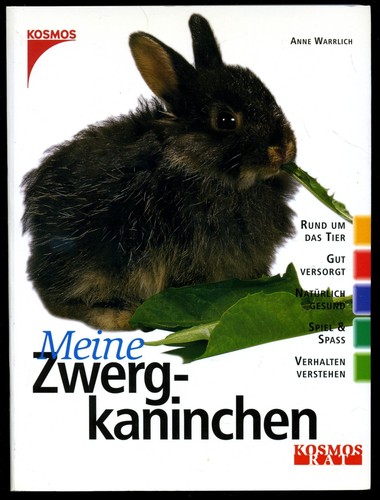 Meine zwergkaninchen rund - meine, zwergkaninchen--rund