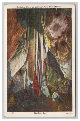 Carlsbad caverns national park - carlsbad,