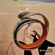 Cintura Iguana su Cuoio ?