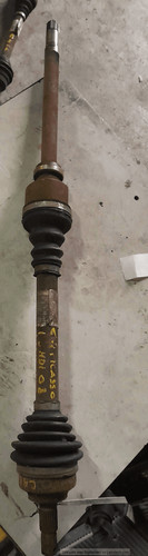 Semialbero ant compl dx - semialbero, ant.