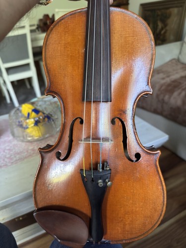 Bellissimo violino antico