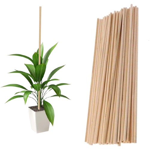 Bastoncini bambù 40cm - bastoncini,