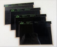 Jaguar XJS Range 3,6 + 5,3 V12