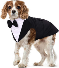Smoking Cane Taglia Media, Vestito Cerimonia per Cani Papillon Cane Matrimonio C