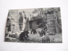 Roma - Giardino zoologico di Roma - tana degli orsi bruni - non spedita f. p. 
