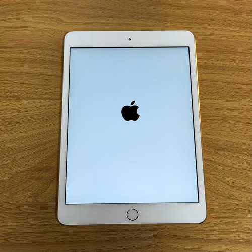 Apple ipad mini - mini, 16