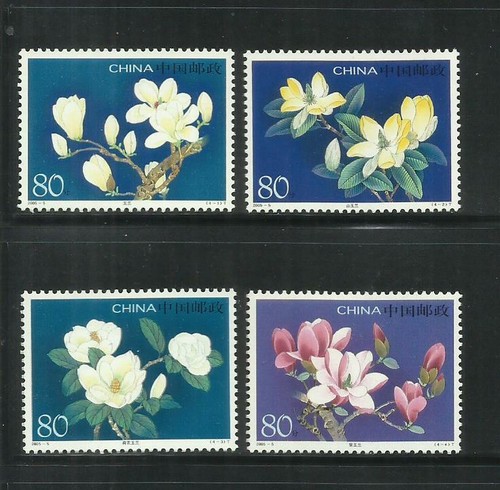 China año 2005 - china., año: