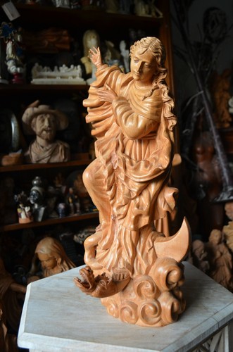 Statua scultura legno - statua, in