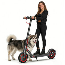 For ADULT ELECTRIC SCOOTER