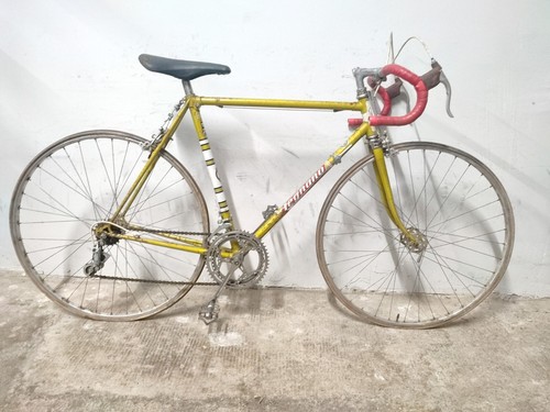 Bici bike road - bici,