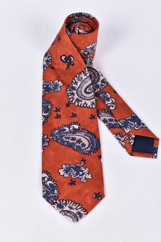 Cravatta paisley stile - cravatta,