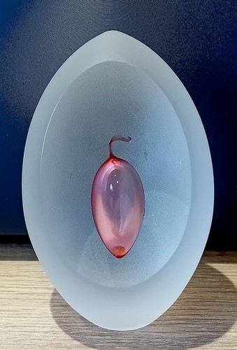 Fermacarte rikaro cristallo - fermacarte,