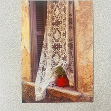 Lace Curtain Window Nice