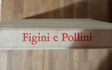Cesare Blasi - FIGINI E