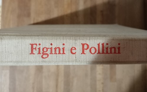 Cesare blasi figini - cesare, e