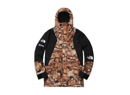 Supreme the north face leaves - north,