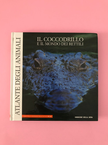 Coccodrillo mondo dei - e,