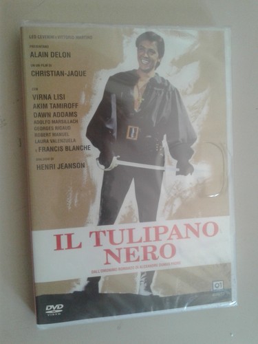 Tulipano nero alexandre - il,