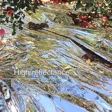 Pellicola Mylar Riflettente