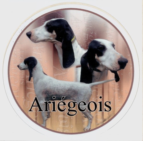 Adesivo design ariegeois - adesivo,
