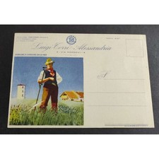 Cartolina Luigi Torri Importazione ed Esportazione Semi da Prato - Alessandria