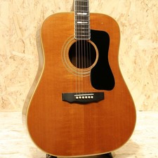 GUILD D-55 NT con custodia