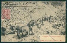 Massa Cave Marmo cartolina QQ2965