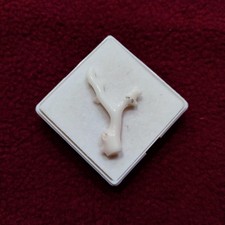 Ramo di corallo bianco