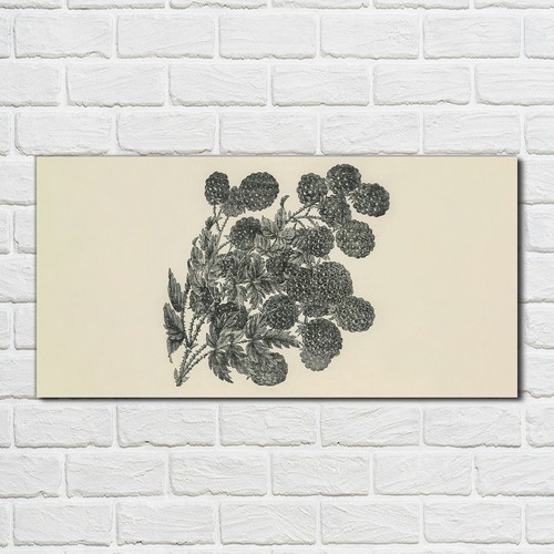 Acrylic glass print - print, wall