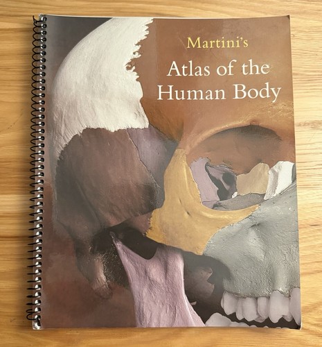 Martini atlas the human - martini's,