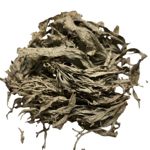 Lichene polmonare intero