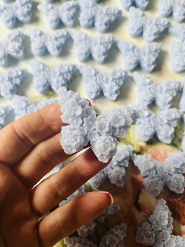 Farfalle cera soia - di,