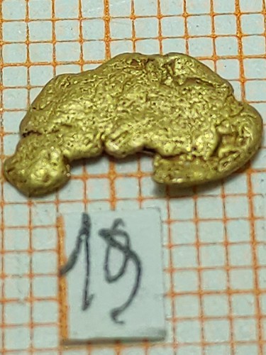 Pepita oro italia - 1,