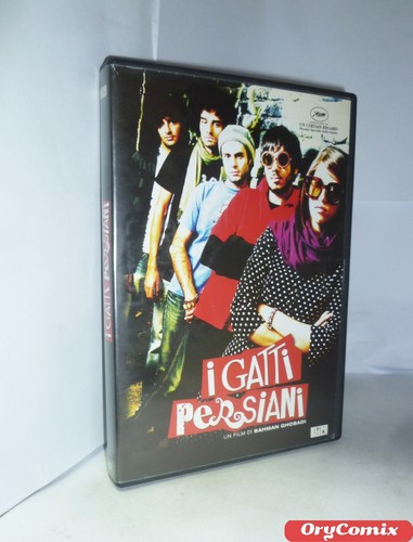 Gatti persiani di - persiani, bahman
