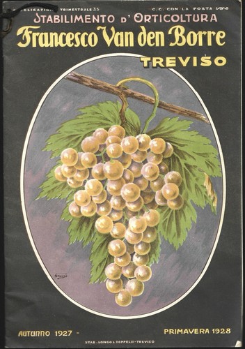 Catalogo francesco van den - francesco,